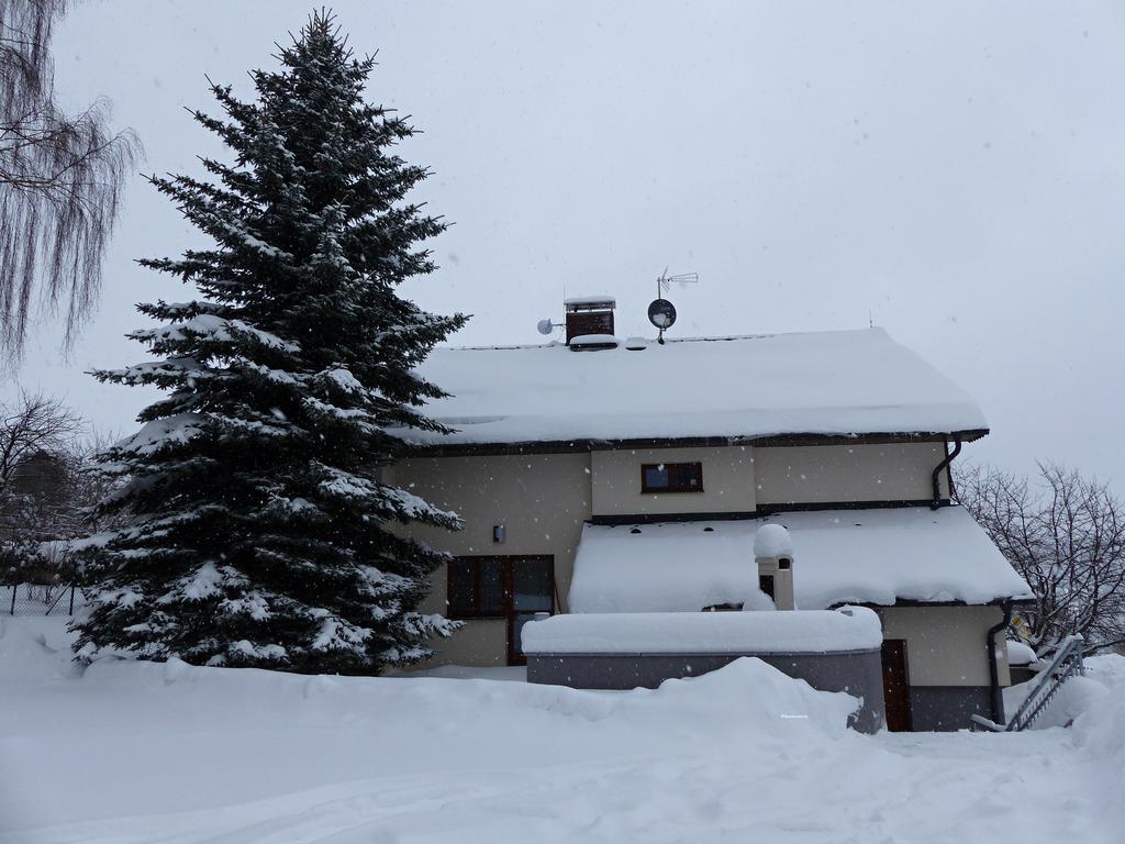 Haus Tolstejn Apartment Jiřetín pod Jedlovou Екстериор снимка