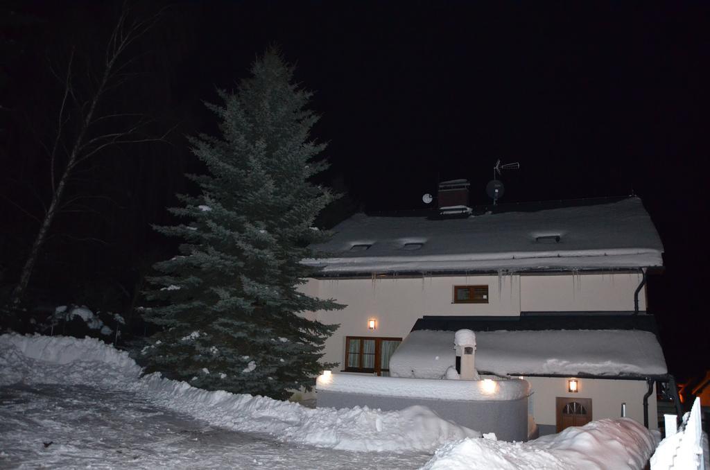 Haus Tolstejn Apartment Jiřetín pod Jedlovou Екстериор снимка