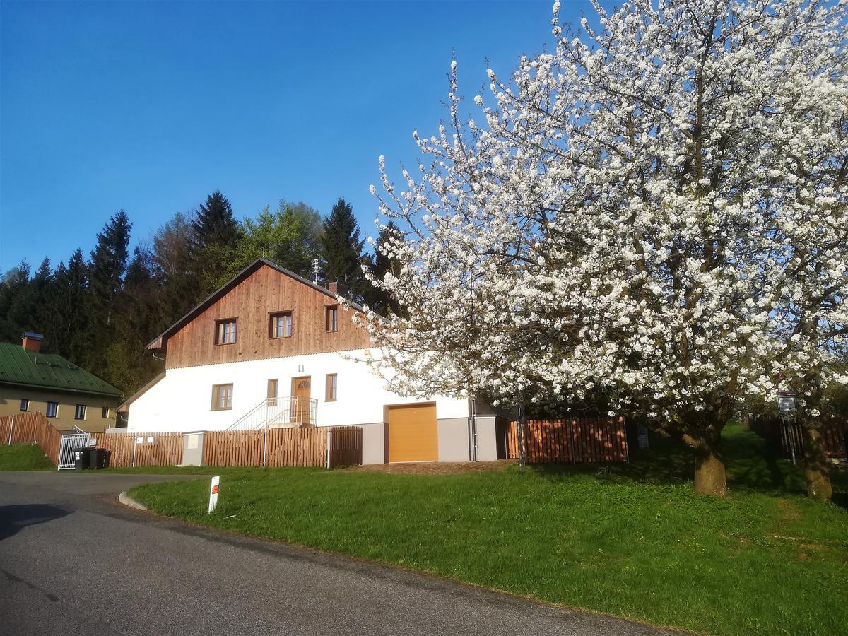 Haus Tolstejn Apartment Jiřetín pod Jedlovou Екстериор снимка